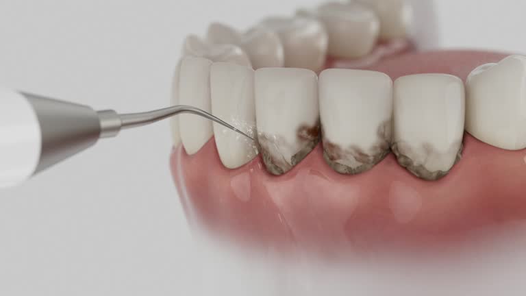 Reliable Dental contractor in Leominster, MA by Dentist Open Now
